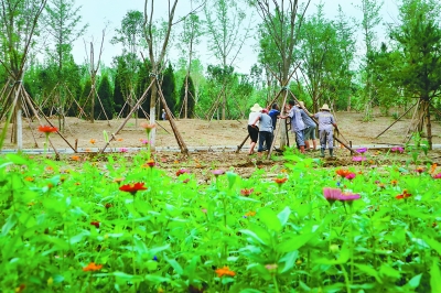 大興瀛海建筑垃圾就地利用造公園